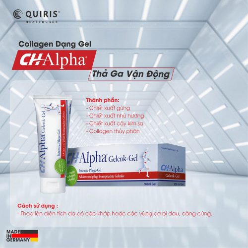 Collagen Gel Khop Quiris Ch Alpha 04