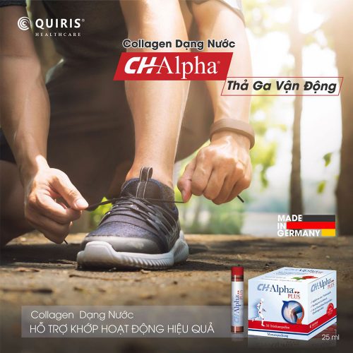 Collagen Quiris Ch Alpha Plus 02