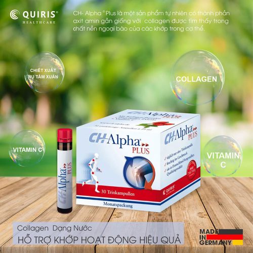 Collagen Quiris Ch Alpha Plus 04