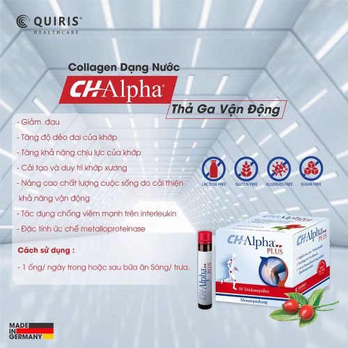 Collagen Quiris Ch Alpha Plus 05