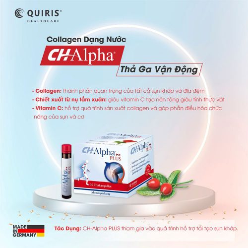 Collagen Quiris Ch Alpha Plus 06