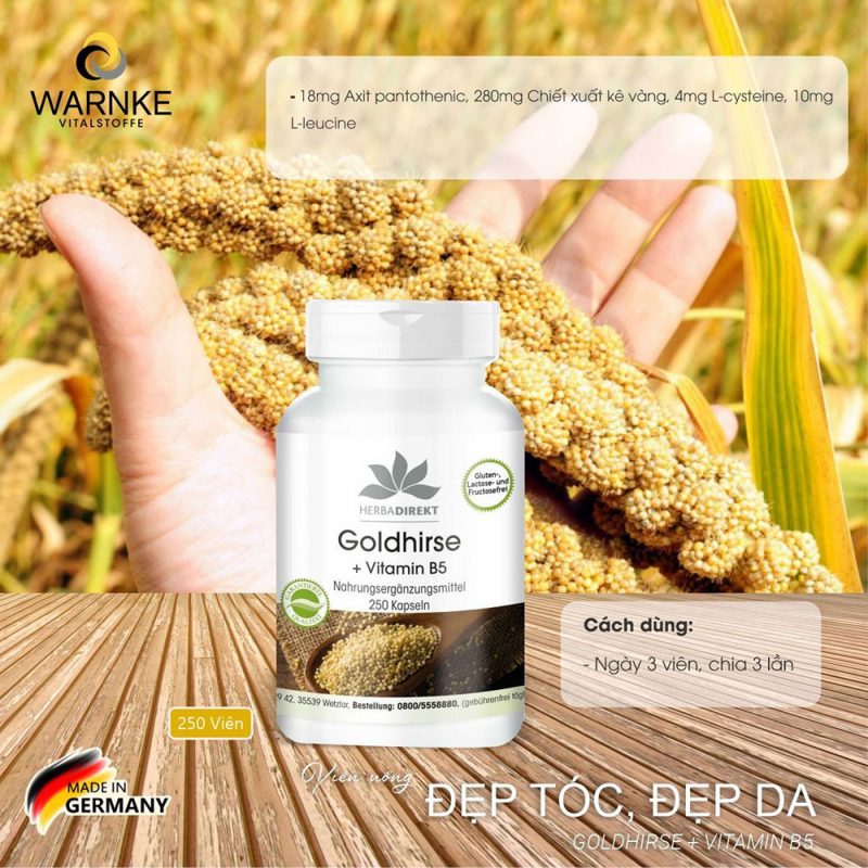 Viên Uống Chiết Xuất Kê Vàng Warnke Goldhirse + Vitamin B5, Hình Ảnh 5
