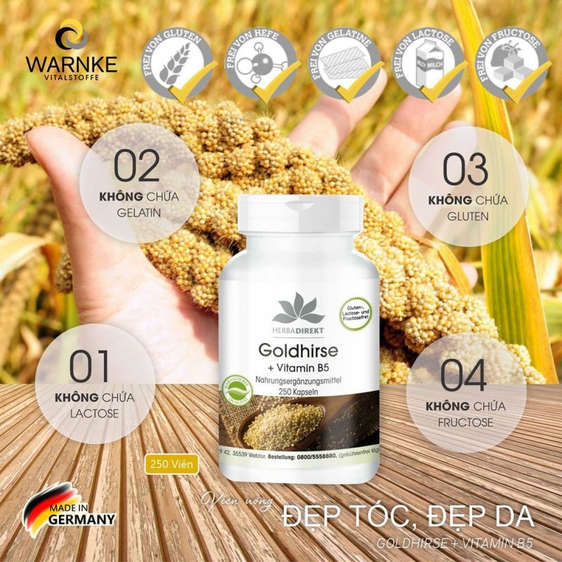 Viên Uống Chiết Xuất Kê Vàng Warnke Goldhirse + Vitamin B5, Hình Ảnh 1