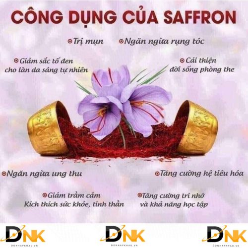 Nhuy Hoa Nghe Tay Duc Mr. Brown Saffron 1G 11 1